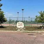 “golf And Sun” Family *