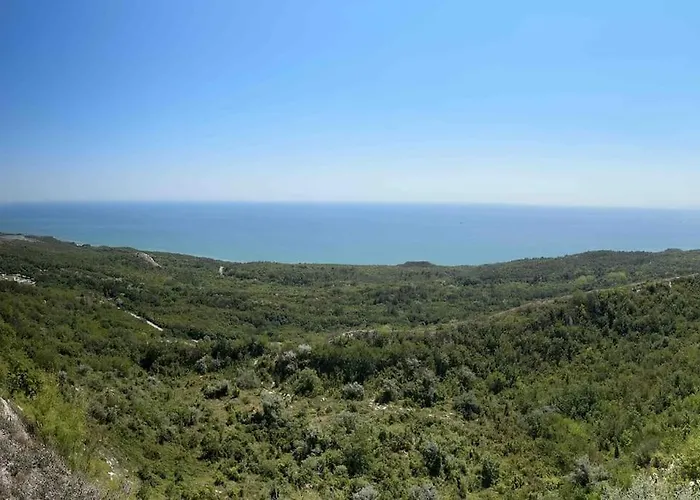 “golf And Sun” Family *