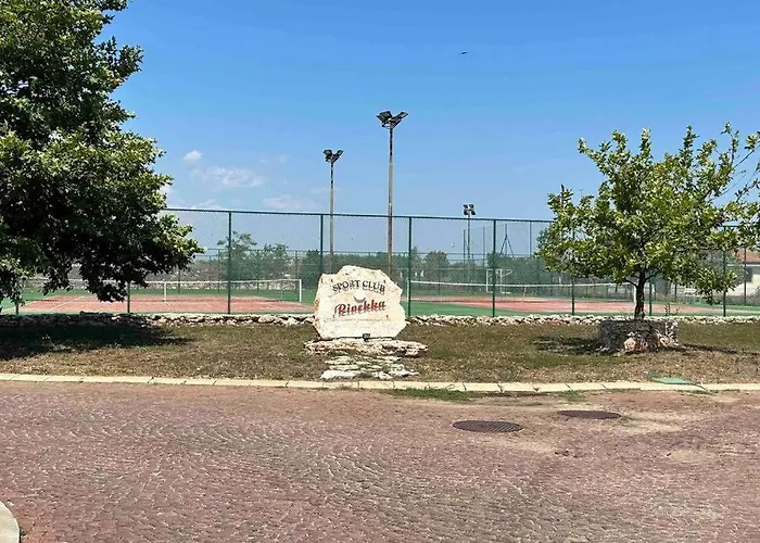 “golf And Sun” Family *